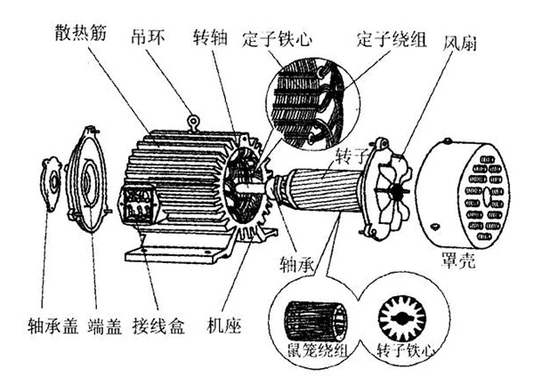 三相異步電動(dòng)機(jī)的六種分類(lèi)方法及具體分類(lèi)。
